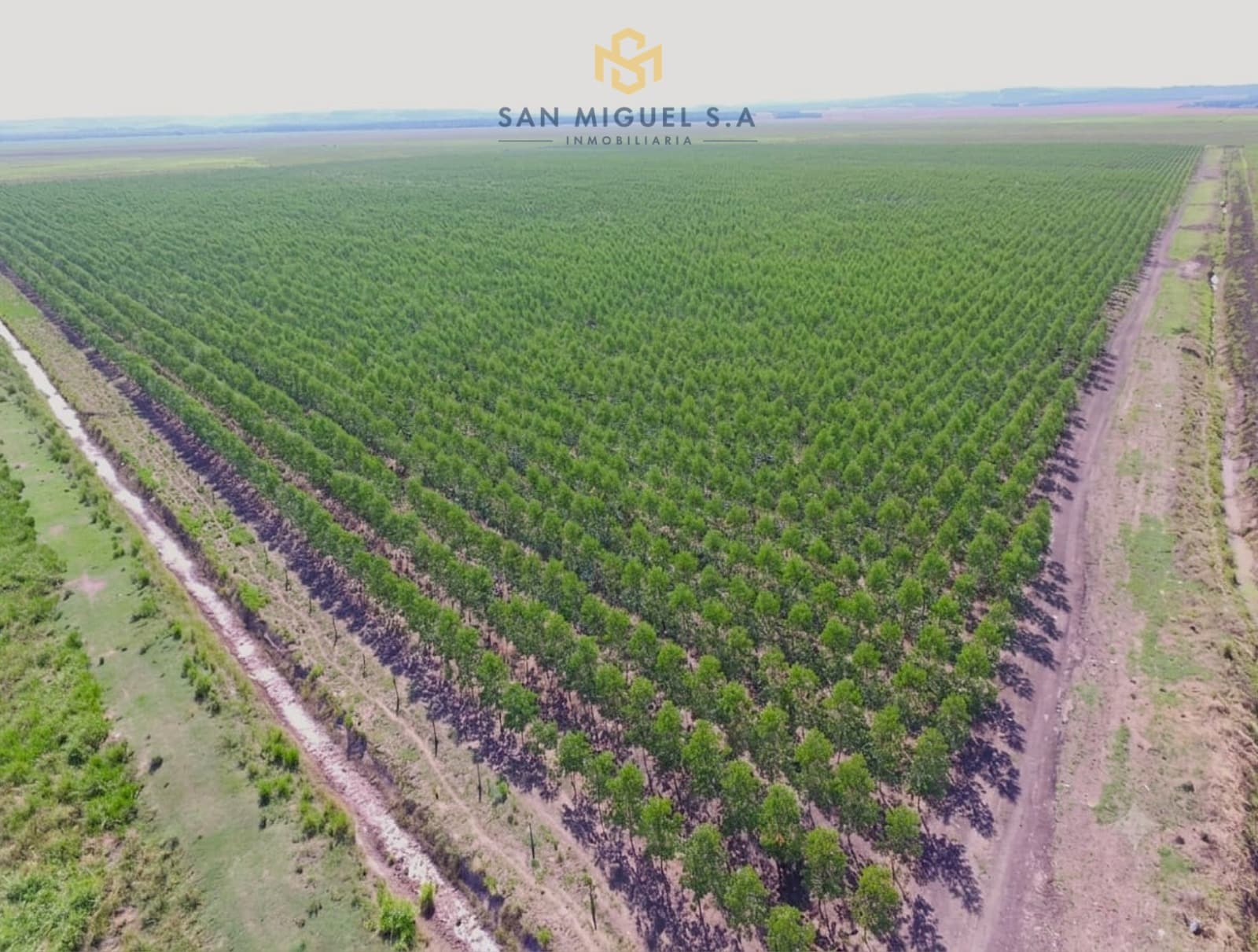 ESTANCIA TITULADA PARA GANADERIA